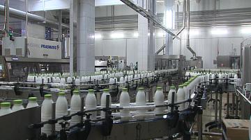 A Belarusian milk processing plant may open in the Kirov Oblast