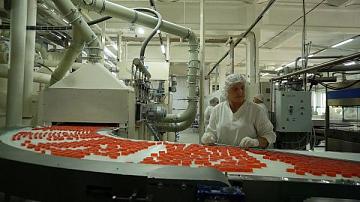 Белорусские кондитеры осваивают новые виды продукции