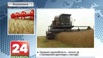 Беларускія аграрыі намалацілі 2 млн тон збожжа