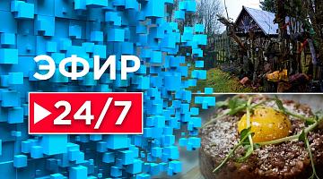 В Беловежской пуще начался зимний туристический сезон /  Белорусские санатории на 100% заполнены