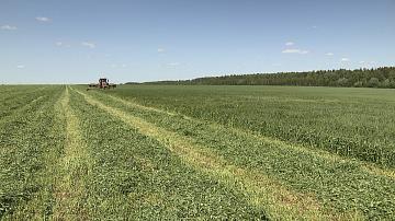 Кормозаготовка в хозяйствах Минской области