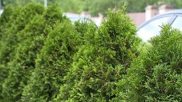 Минприроды призывает поучаствовать в акции