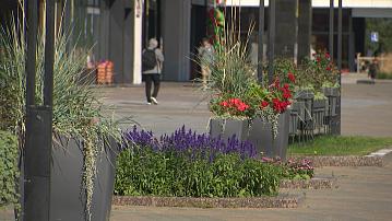 New floral and architectural compositions — in the flower beds of the capital 