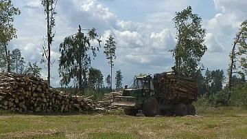 Продолжается расчистка буреломов