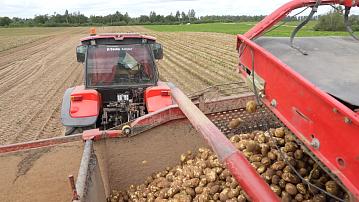 Belarusian farmers have threshed almost 8.3 mln tonnes of grain