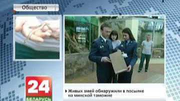 Жывых змей выявілі ў пасылцы на мінскай мытні