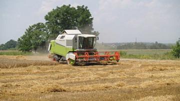 Grodno is 3rd region to harvest 1 million tonnes of grain