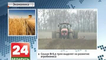 Звыш Br8,9 трыльёна выдзеляць на развіццё аграбізнесу