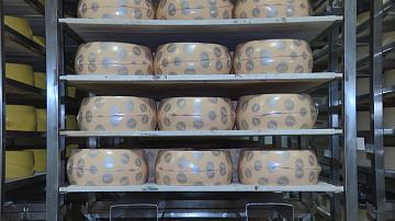 Экспорт белорусской сельхозпродукции
