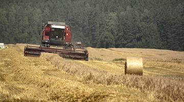 АКЦЕНТЫ ДНЯ