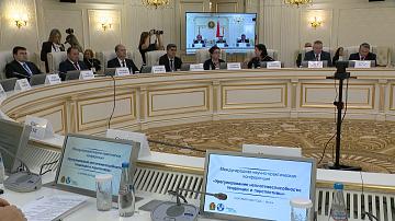Experts discussed issues of rehabilitation and bankruptcy