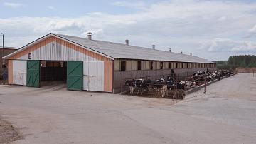 Efficiency of livestock discussed in Mogilev Oblast