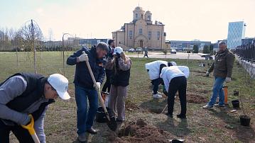 The annual international campaign "Garden of Memory" has started in Grodno