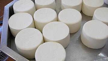The production of Italian and French cheeses from Belarusian milk was mastered at a family cheese factory in the Molodechno district