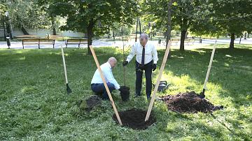 Редкое экзотическое дерево высадили в Гродно