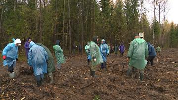 Results of the autumn cleanliness marathon in the capital