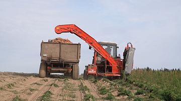 Time for forage harvesting and vegetable collecting in Belarus