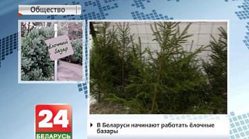 У Беларусі пачынаюць працаваць елачныя базары