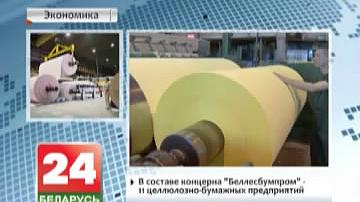 Беларусь і Аўстрыя абмяркуюць рэалізацыю сумесных праектаў у цэлюлозна-папяровай галіны