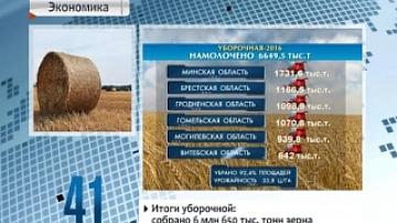 Results of harvest campaign: 6 million 650 thousand tons of grain harvested