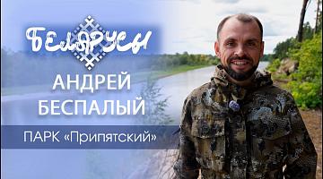 ДИКИЙ КОТ, который вернулся в природу Беларуси через 100 лет. Парк «Припятский» Андрей Беспалый
