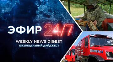 Искусственный интеллект помогает белорусским аграриям / В Беларуси идёт заготовка мёда