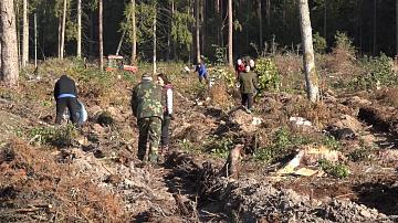 Students and professors of the capital's universities have planted a new forest
