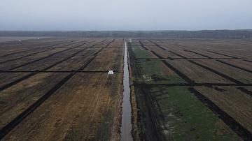 Белорусские учёные придумали свой активированный уголь 