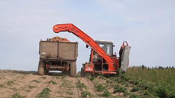 Time for forage harvesting and vegetable collecting in Belarus
