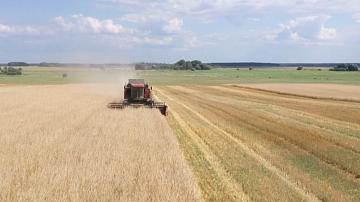 90 Seconds News 11:00