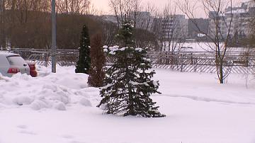 Temperatures in Belarus may drop to -22°C in the coming days