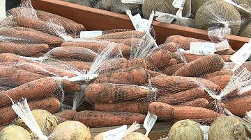 Доля продаж отечественных овощей в Беларуси составила почти 70%