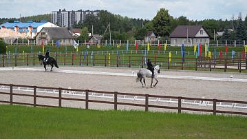  Belarusian scientists are working on breeding a specialized type of sport horse