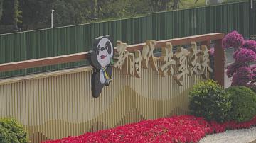 90 секунд 10:00