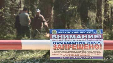 Из-за пожаров введены ограничения на посещение лесов