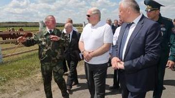 President of Belarus visited Polessky State Radiation and Ecological Reserve
