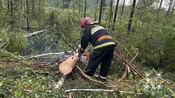 In Grodno Oblast rescuers are eliminating the consequences of thunderstorms and strong winds