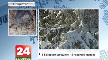 У Беларусі сёння 11-16 градусаў марозу