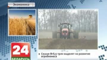 Over 8.9 trillion Belarusian rubles to be allocated for agribusiness development