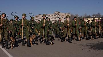 Праздничные мероприятия в честь 80-летия Великой Победы пройдут по всей Беларуси