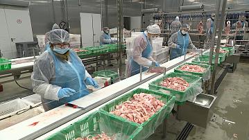 Ensuring food security is under control