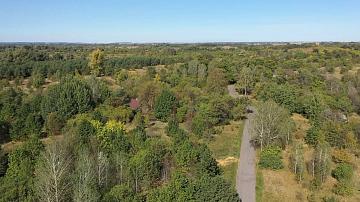 Плотность радиационного загрязнения почвы после аварии на ЧАЭС снизилась вдвое