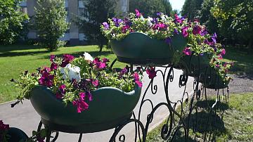 Special attention is paid to the improvement of parks and squares in Minsk