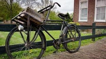 31 cities of Belarus join action «Car Free Day»