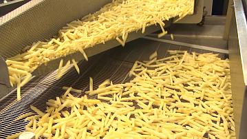 French fries from Tolochin entered the competition