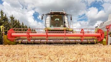 Over 5 million tons of grain have been harvested in Belarus