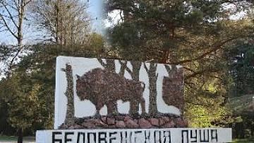 Bialowieza Forest in the top 25 tourist destinations