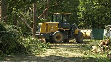Emergencies Ministry employees eliminate the consequences of the hurricane in Mogilev