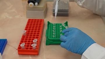 Белорусские учёные нашли экологичный способ очистки сточных вод 