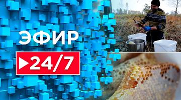 Белорусские кондитерские фабрики выпустят около 3 млн подарков к Новому году / Марафон добра